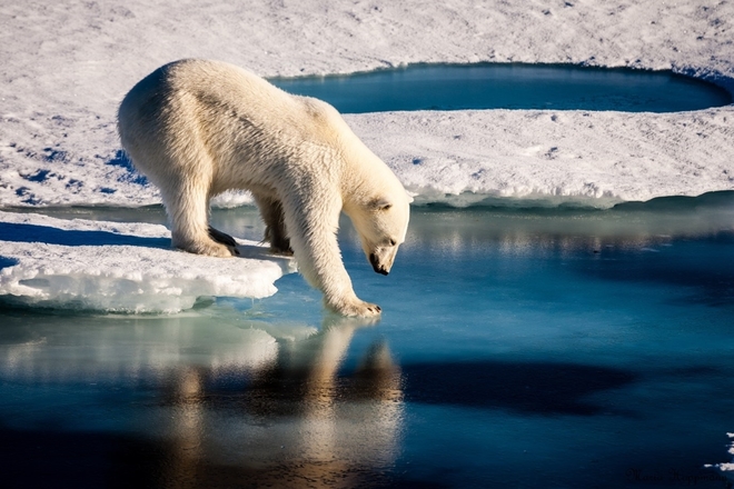 What can the Construction Industry do to Combat Climate Change?
